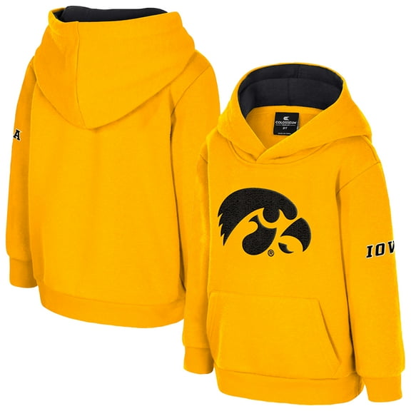 Toddler Colosseum  Gold Iowa Hawkeyes Big Logo Volume Fleece Pullover Hoodie