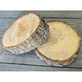 thumbnail image 1 of 3 Pcs, Elm Wood Slices 10-12" Diameter - Medium for Holiday, Home and Seasonal Décor, 1 of 1