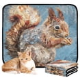thumbnail image 2 of Qxltty Cute Squirrel Cat litter Pads Pet Set of 2 Diaper Mats Center Anti-leakage Layer Absorbent Soft and Comfortable, 2 of 7
