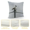 thumbnail image 4 of GOSMITH Throw Pillow Cover - Bird Magpie Lark Animal White Black Plumage, 4 of 5