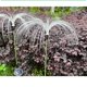 thumbnail image 2 of Luces solares de jardín TransparentJellyfish, destellos decorativos, luces de camino de estaca de luciérnaga para decoración de patio de camino de jardín, 2 of 5
