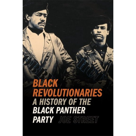 Since 1970: Histories of Contemporary Am Black Revolutionaries: A History of the Black Panther Party, (Hardcover)