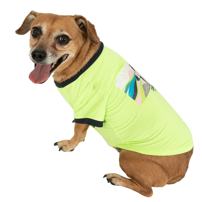 Is Polyester Good For Dogs