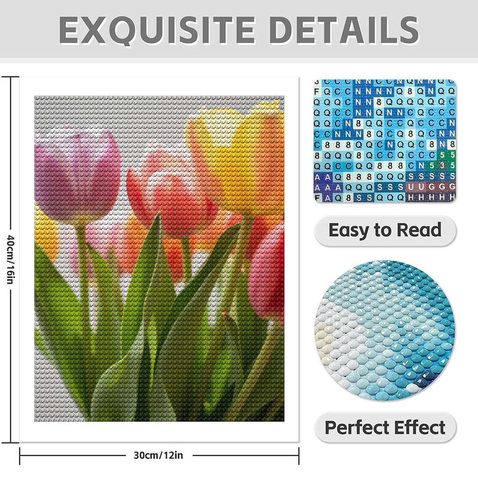 Diamond Art Kit for Adults, Spring Tulips Varied Colors Blooms Diamond Painting for Adults Beginners, 5D DIY Diamond Art Painting Kits, Colorful Diamond Painting Craft for Home Decor 12x16