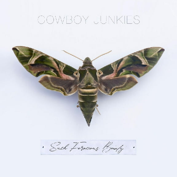 Cowboy Junkies - Such Ferocious Beauty - Music & Performance - CD