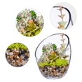 Clear Slant Cut Bubble Bowl, Fish Bowl & Plant Terrarium, Candy Jar