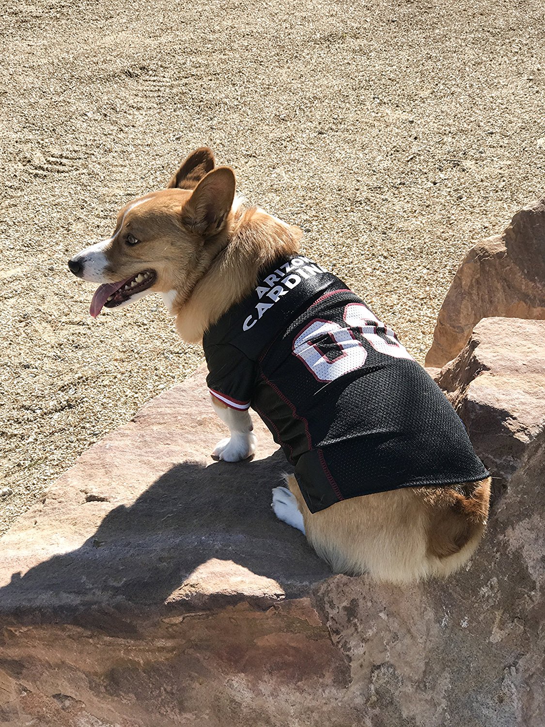 Pets First NFL Arizona CardinalsLicensed Mesh Jersey for Dogs and Cats - Extra Small