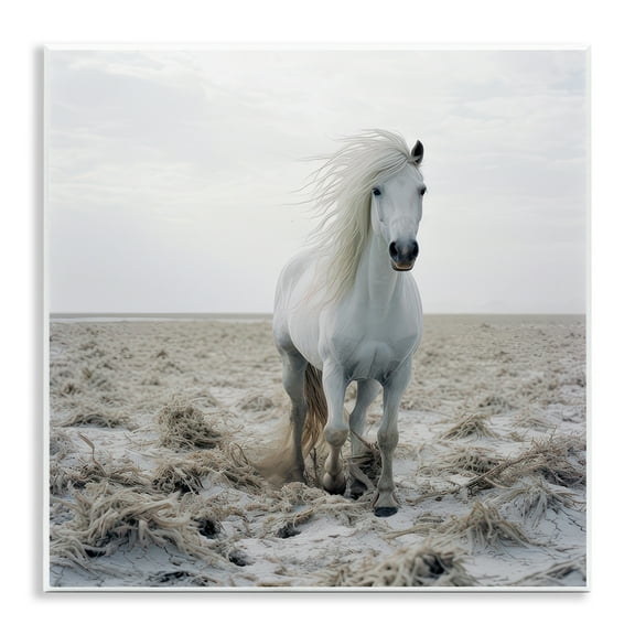 Stupell Industries Windswept Beach Horse Animals Photography Unframed Art Print Wall Art, 12 x 12