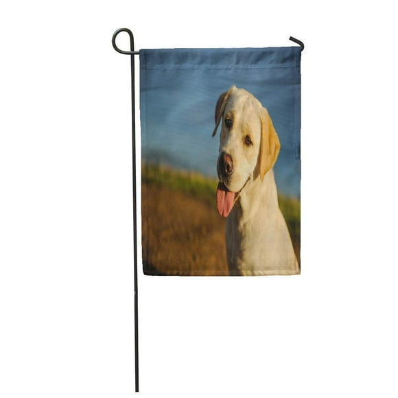POGLIP Yellow Labrador Retriever Dog Portrait Canine Cute Domestic Garden Flag Decorative Flag House Banner 12x18 inch