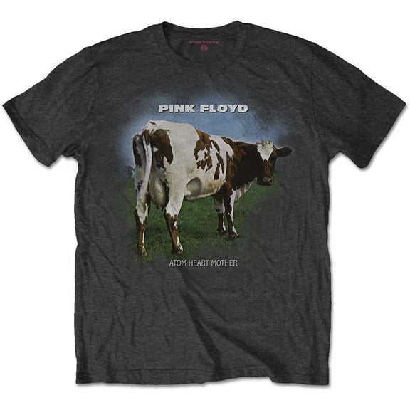 Pink Floyd Unisex T-Shirt Atom Heart Mother Fade (X-Small)