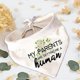 thumbnail image 2 of Family Kitchen Fun Pet Puppy Dog Bandana Scarf - My Family A Human Pet Scarf Accessories, Domestic Animal Accessories for Dog Lovers Gifts, 2 of 4