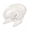 White!, variant on Hamster Wheel Hamster Toys Silent Running Exercise Silent Running Exercise Wheel Slip Transparent Wheels for Hamsters Exercise Indoor Hamster Toys for Hamsters Golden Bear Hamster Toys Happy Day!