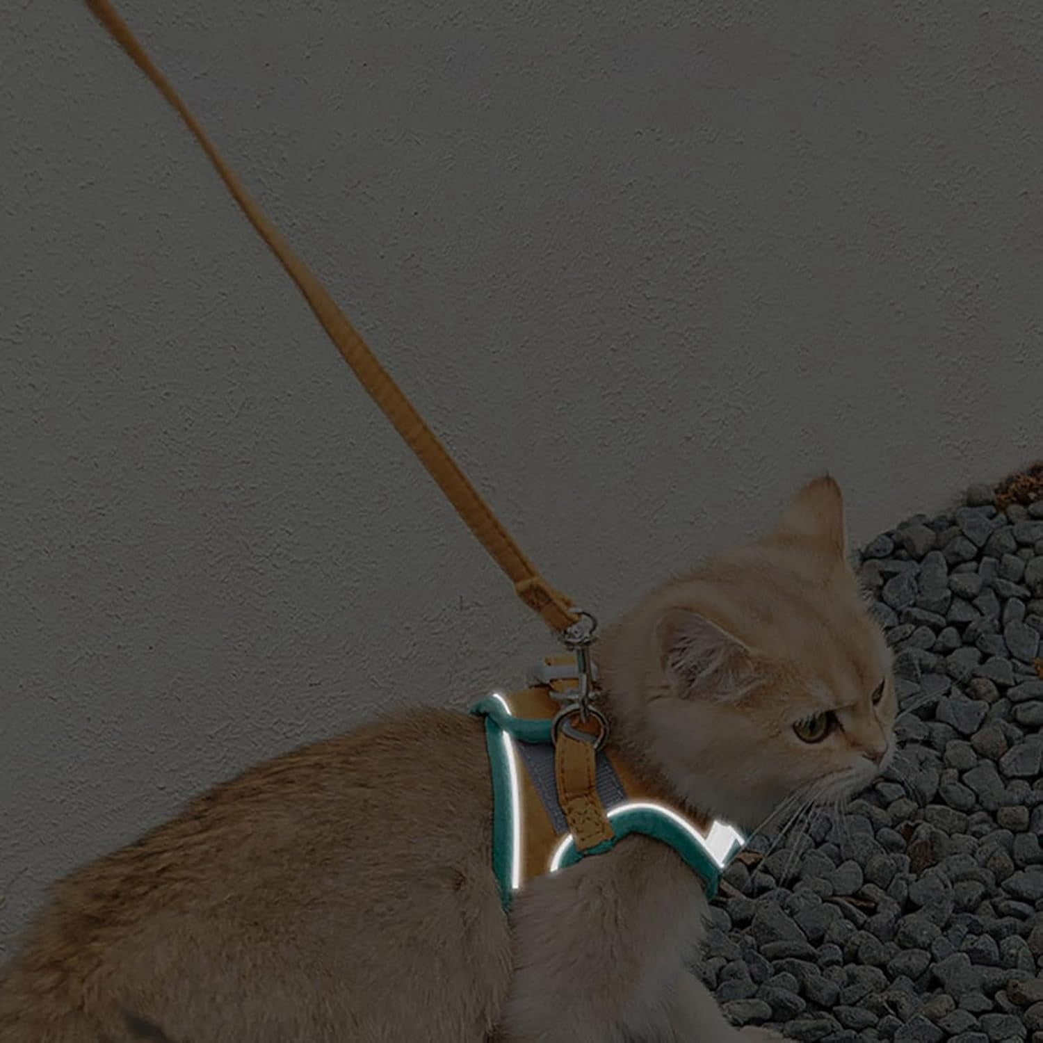 Cat Harness and Leash Set, Breathable Mesh Vest with Reflective for Outdoor