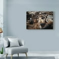 thumbnail image 3 of Trademark Fine Art 'Meeting Place Horses' Canvas Art by PHBurchett, 3 of 4