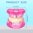 thumbnail image 2 of Disease Teeth Model Dental Typodonts Implant Teeth Model with Removable Teeth Pathological Demonstration (Pink,2 Pcs), 2 of 7