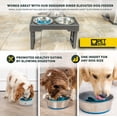 thumbnail image 4 of Inserto de comedero lento en espiral para perros Convierte un cuenco o plato para perros en un cuenco para perros (alternativa al comedero de rompecabezas para perros, tapete para lamer), 4 of 5