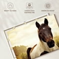 thumbnail image 6 of Elephant Stock Horse Pasture Wall Art - Horizontal Canvas Wall Art - Living Room Wall Decor - Photography Animal Canvas - Beige And Green Decor - 51" x 34", 6 of 8