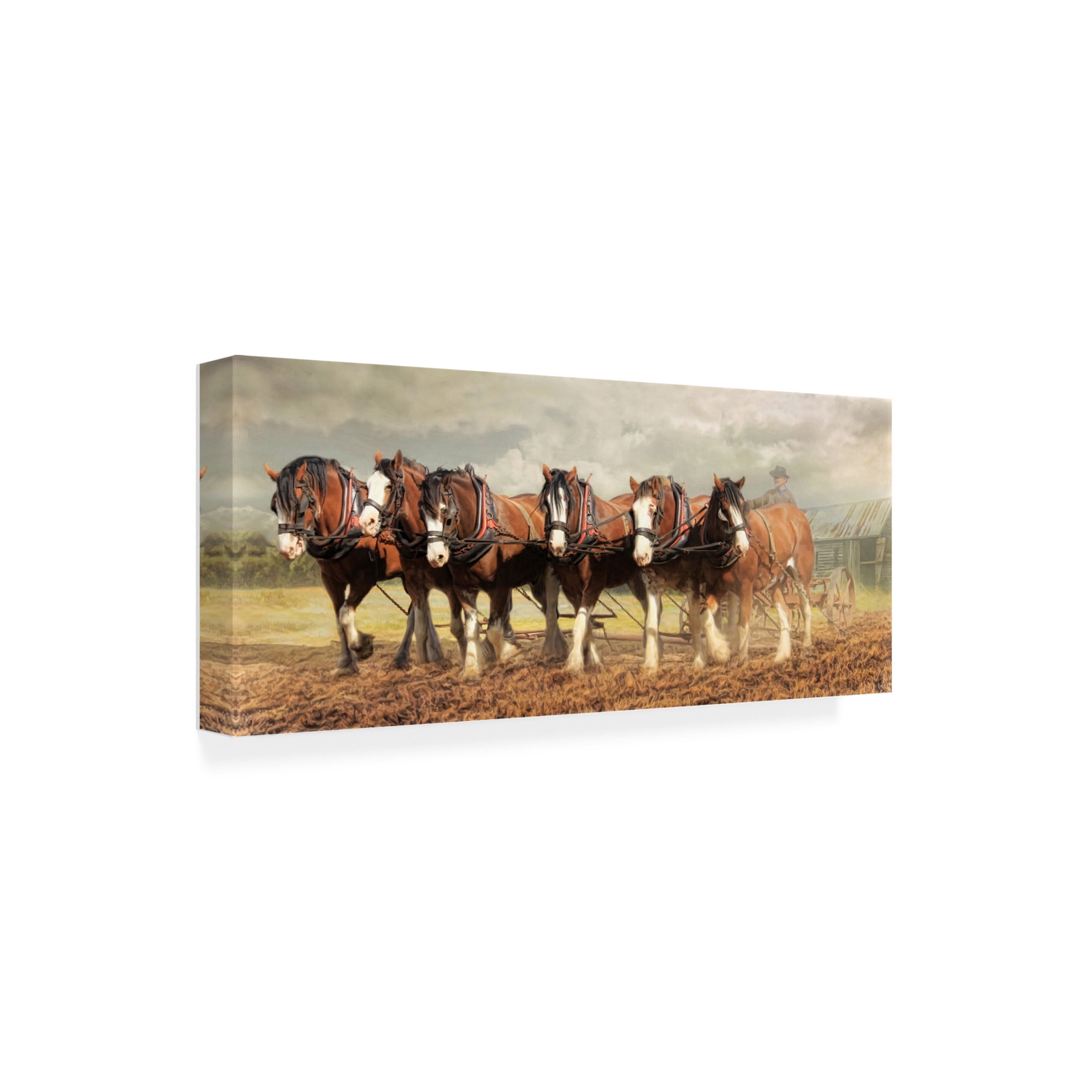 Canvas Wall Art - Trudi Simmonds 'Horse Power' Wall Art for Living Room, Bedroom, or Office Décor by Trademark Fine Art - 32 x 14 Inches