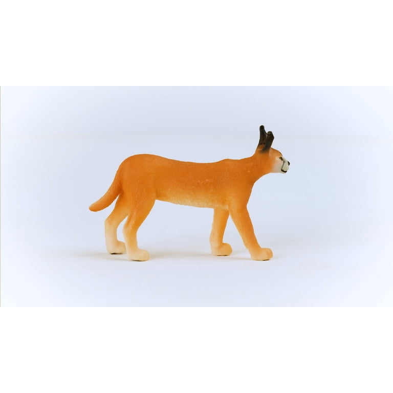SCHLEICH - Figurine de l'univers des animaux sauvages - Jeune Caracal - - SH