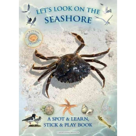 Let's Look: Let's Look on the Seashore : A Spot & Learn, Stick & Play Book (Paperback)