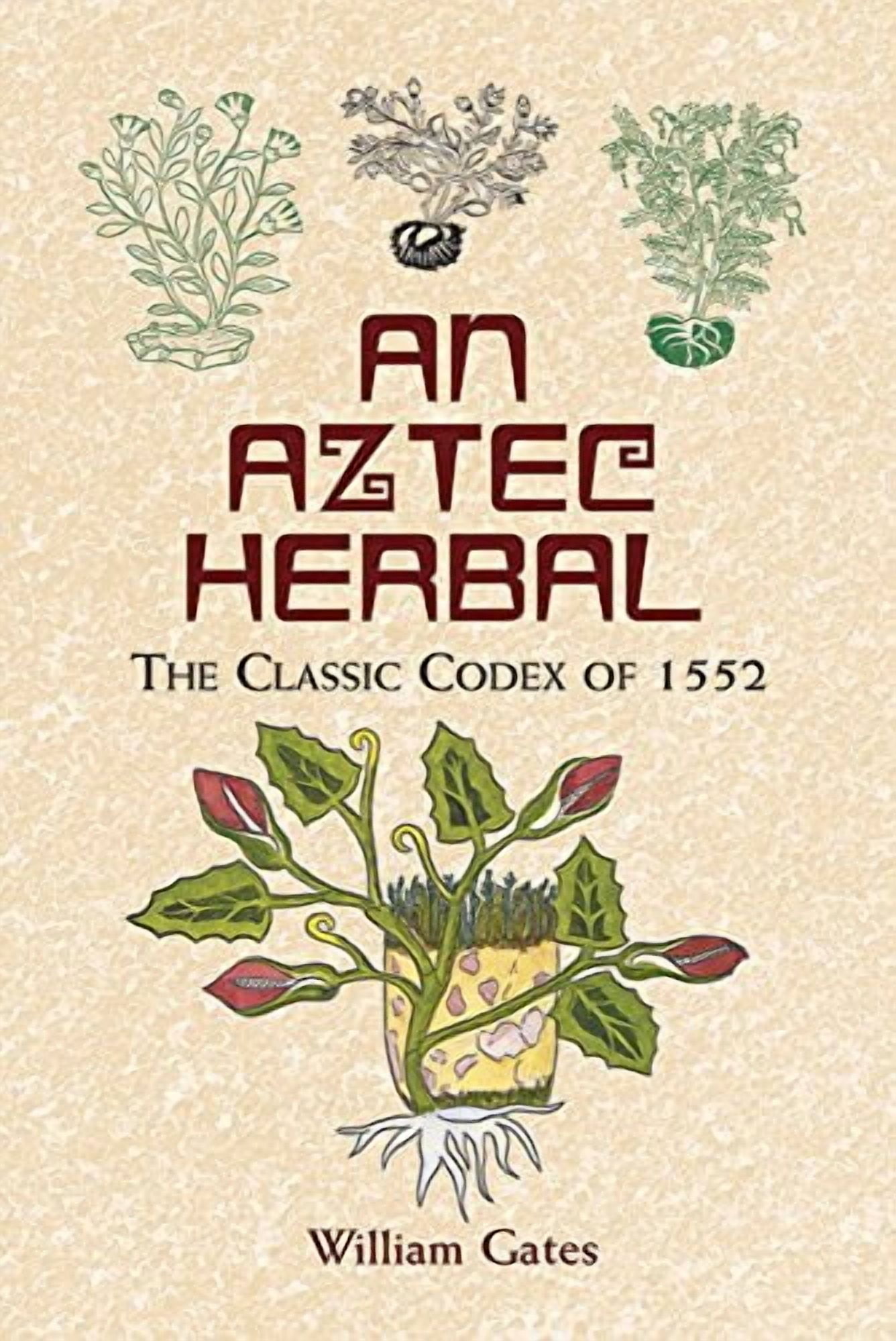 Native American: An Aztec Herbal : The Classic Codex of 1552 (Paperback)
