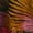 Tropical Palm Gym Grn, variant on Terra & Sky Women's Plus Crinkle Off Shoulder Maxi Dress, Sizes 0X-5X