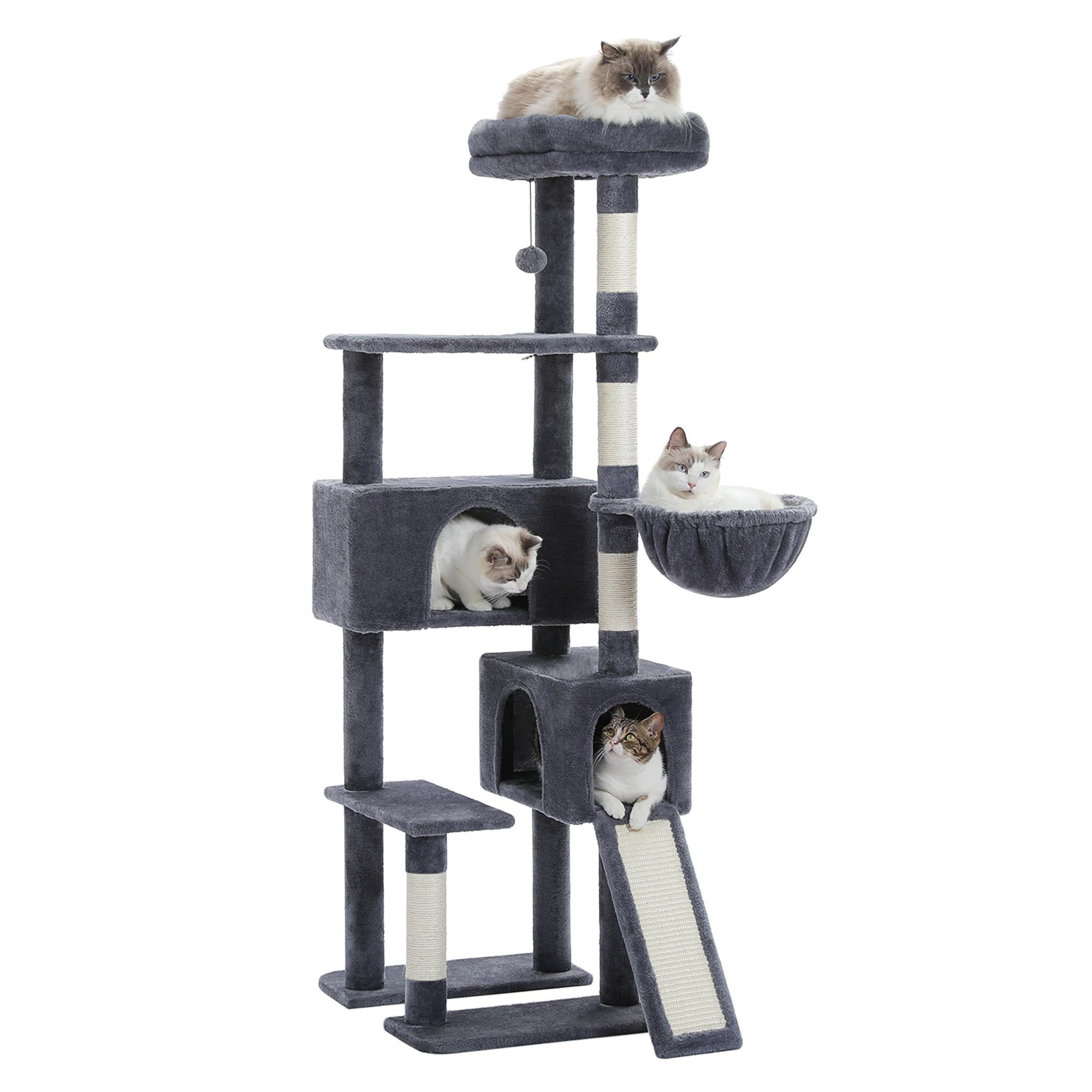 60 inch 2025 cat tower