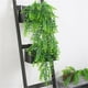 thumbnail image 4 of 2x plantas de hojas largas de eucalipto artificiales, follaje verde para decoración de fiestas-1 Zulema Enredadera de eucalipto artificial, 4 of 8