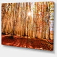 thumbnail image 2 of Soleil Épais sur Forêt d'Automne - Art Moderne sur Toile, 2 of 4