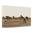 thumbnail image 2 of "Serengeti Horizons II" By Jeff, Fine Art Giclee Print on Gallery Wrap Canvas, Ready to Hang, 2 of 2