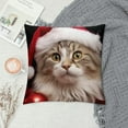 thumbnail image 2 of HENGT  Cute Cat Throw Pillow Cover Christmas Animal Cat with Red Santa's Hat Xmas Tree Gift Winter Kitty Pillowcase Sofa Decor Square Cushion, 2 of 5