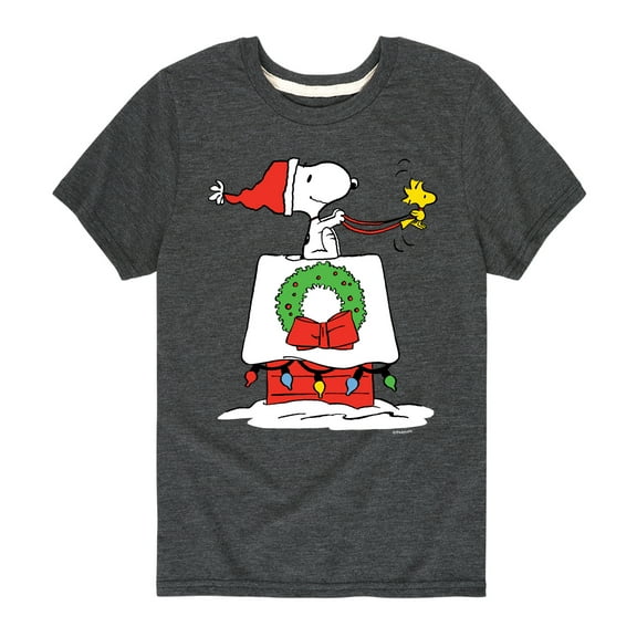 Peanuts - Snoopy & Woodstock House Sleigh - Toddler And Youth Short Sleeve Graphic T-Shirt