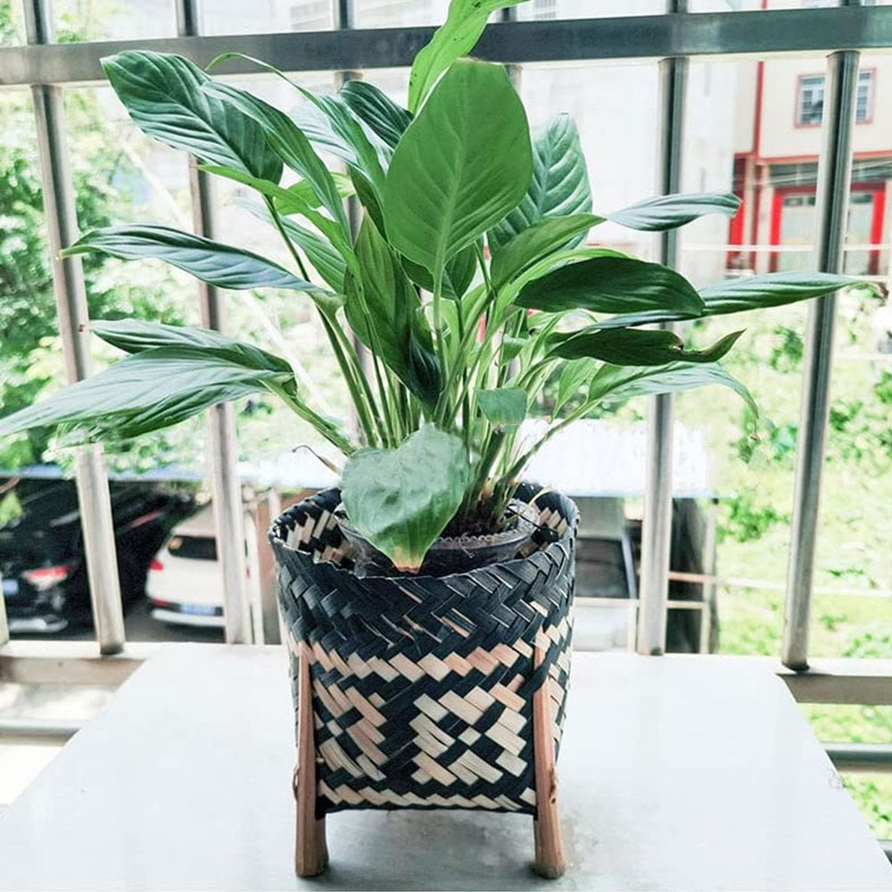 Panier à Fleurs En Bambou Support De Plante En Osier De Rotin