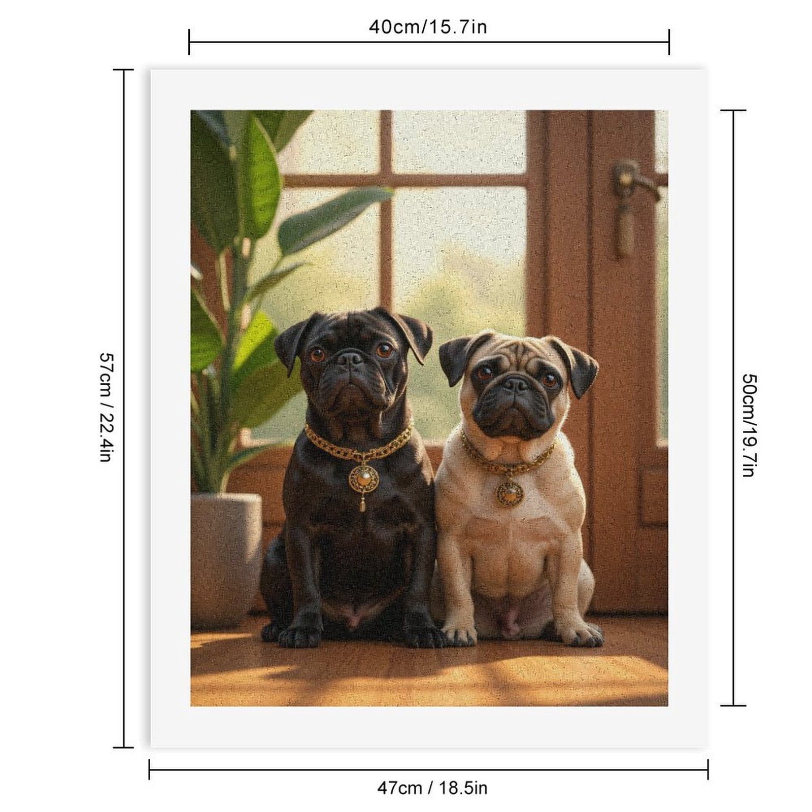 Paint By Numbers Kit for Adults Beginner - DIY Pug Pair Adorned Elegance Sunlit Room Canvas Painting Kits for Adults, Frameless Paint By Number for Adults for Home Wall Decor 16x20 Inch