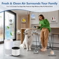 thumbnail image 4 of HillClean PU-P05/AC201B Filtro HEPA Verdadero H13 Paquete de 2, 4 of 7