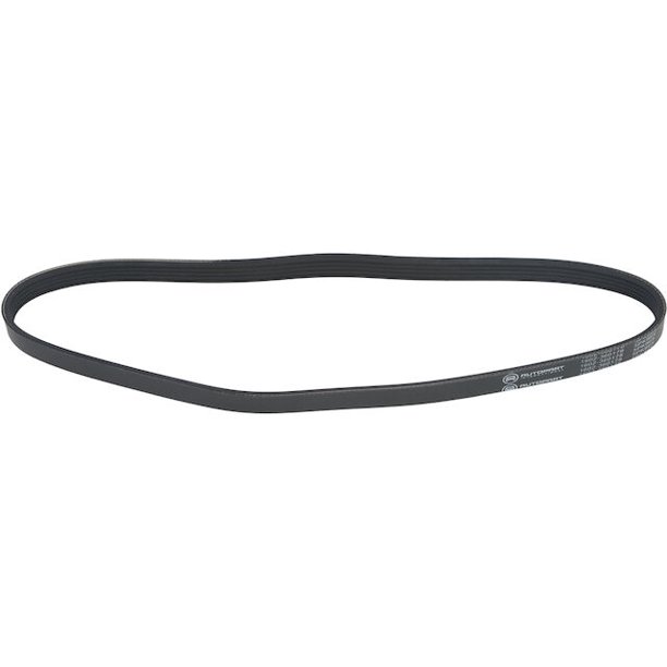 Alternator and Water Pump Multi Rib Belt Compatible with 1998 2000