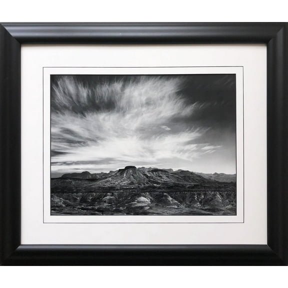 Ansel Adams "Burro Mesa" Custom Framed NEW ART Generic