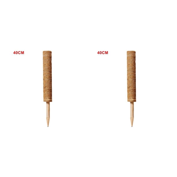 Ounissouiy Poste trepador para plantas, palo de musgo de fibra de coco, musgo de palma, palo de vid, extensión de soporte para plantas, plantas trepadoras 40CM 2piezas Ounissouiy CBP087906