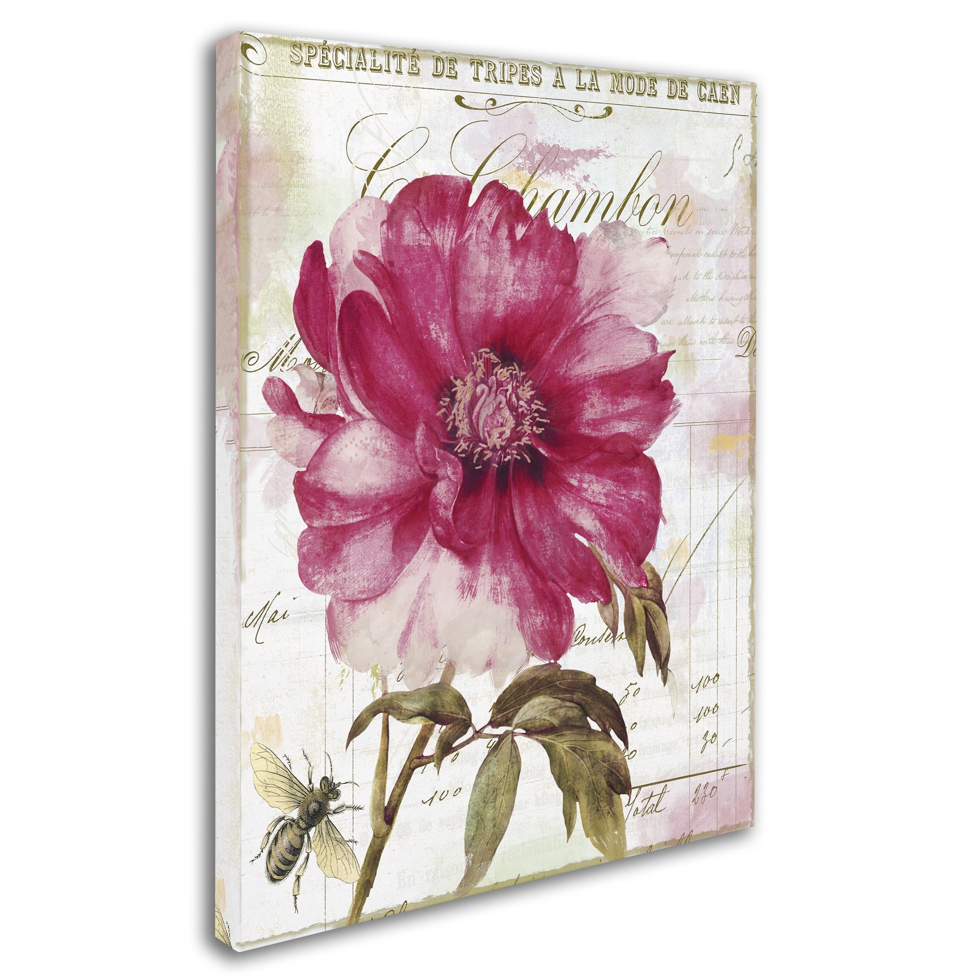 Trademark Fine Art "Lepink With Bee" Canvas Art by Color Bakery