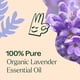 thumbnail image 5 of Plant Therapy Aceite Esencial Orgánico de Lavanda, 30 ml, 5 of 8