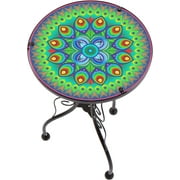22" Peacock Design Glass & Metal Side Table by Trademark Innovations