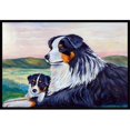 thumbnail image 1 of Carolines Treasures 7511MAT Tapis Intérieur Extérieur 18 x 27 Po. Australian Shepherd, 1 of 4