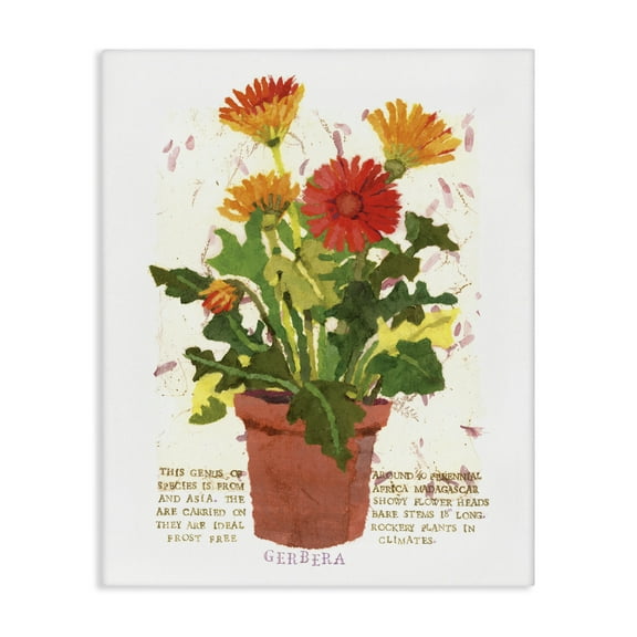 Stupell Industries Potted Gerbera Daisies Botanical & Floral Painting Gallery Wrapped Canvas Art Print Wall Art, 16 x 20