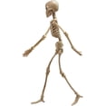 thumbnail image 4 of 16" Halloween Skeleton,Full Body Skeleton with Posable Movable Joints for Haunted House Props Decorations, 4 of 9