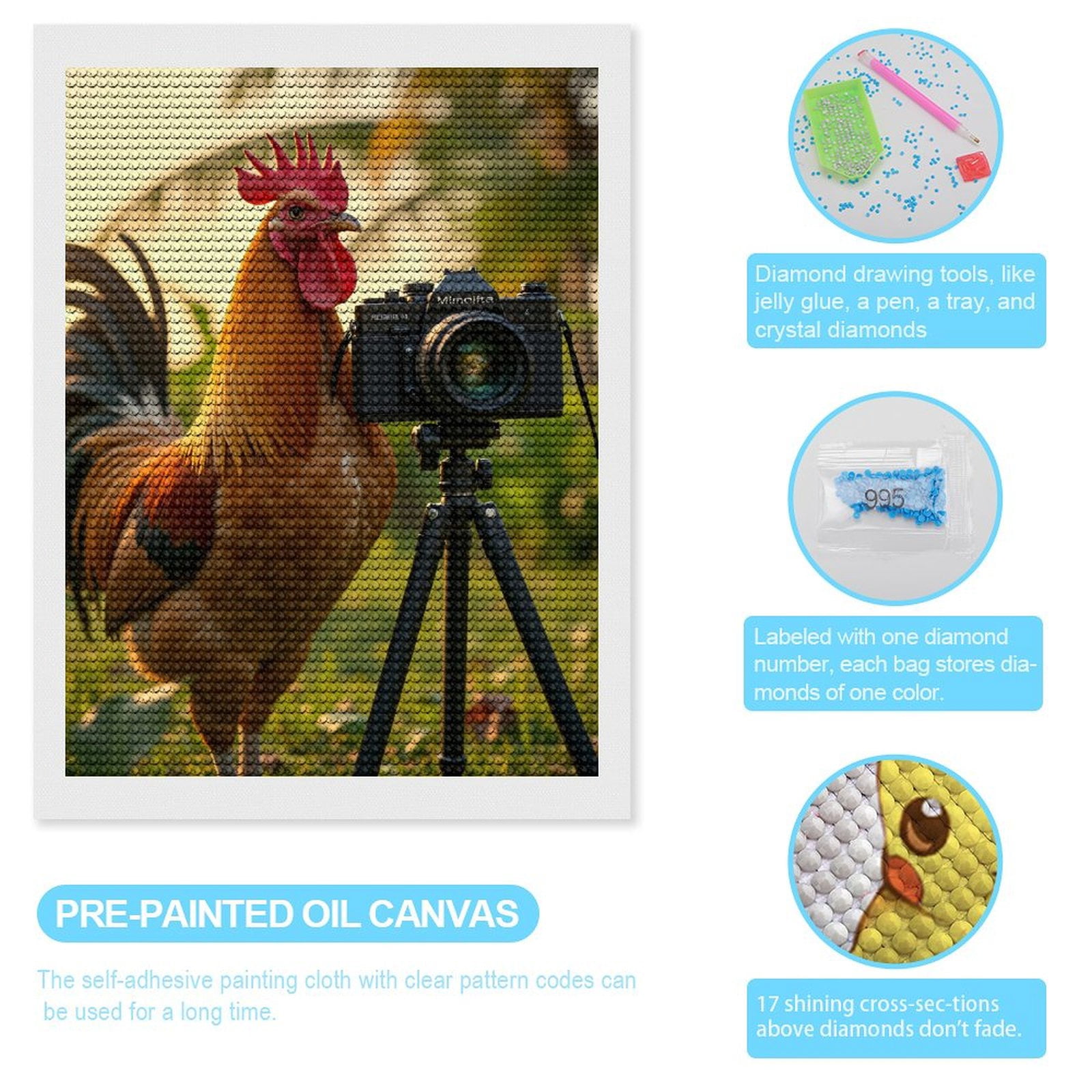 Diamond Art Kits for Adults - Rooster Photographer Tropical Sunset 5d Diamond Painting for Adults, Diamond Art for Adults Beginners, Frameless Diamond Painting Kits for Adults for Home Wall Decor
