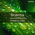 thumbnail image 5 of Scentia Thanksgiving Blend Essential Oil – 120ml Premium Holiday Diffuser Oil with Cinnamon, Clove, Vanilla & Coconut | Cozy Fall Aromatherapy for Home, Candles, Soaps & Gifts, 5 of 6