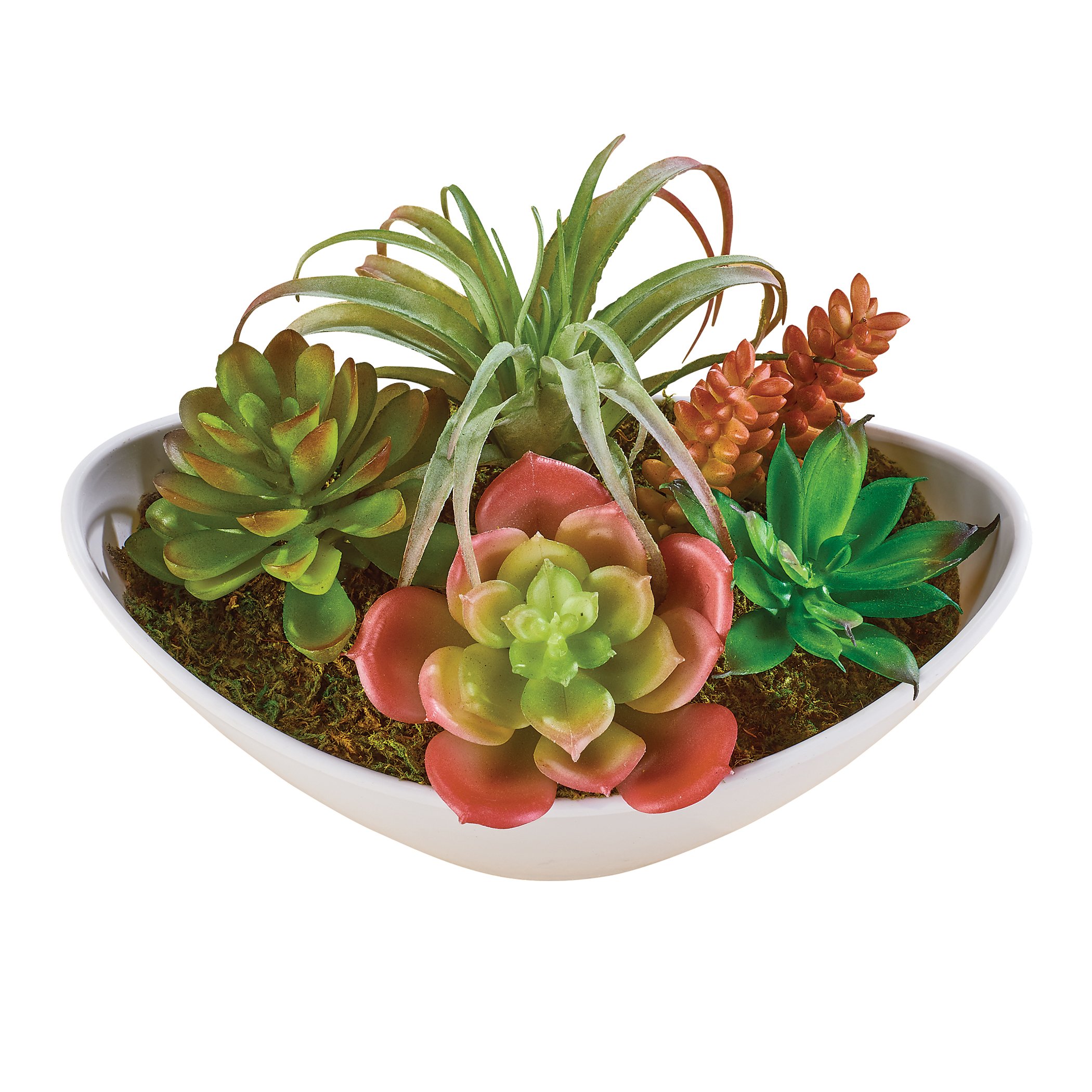 Collections Etc Faux Potted Artificial Succulent Arrangement