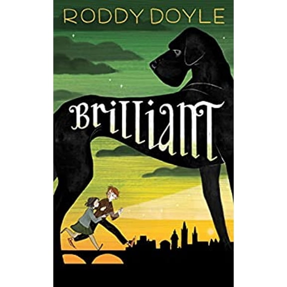 Pre-Owned Brilliant (Hardcover)