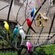 thumbnail image 5 of Simulación Hecha A Mano Loro Pluma Césped Estatuilla Ornamento Animal Pájaro Jardín Pájaro Prop Decoración Yuarrent HA024215-01, 5 of 5