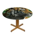 thumbnail image 3 of RUIYC Tiger Round Fitted Tablecloth with Elastic Edge, Black Striped Large Cat from Swimming in The Lake Print XSmall Polyester Table Cover White, 3 of 7